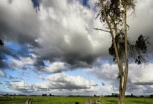 19点21分山东泰山官宣!0比0!韩鹏有话说,崔康熙请给年轻人机会.