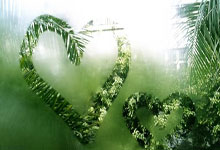 罗泽:赛果会影响外界对球队的评价;与克洛普的交流帮助了我.